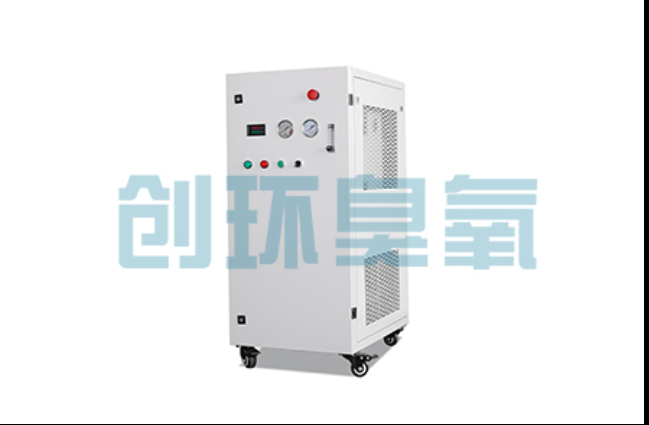 儋州工厂化养鲈必看:2026年臭氧发生器替代传统消毒的最新方案