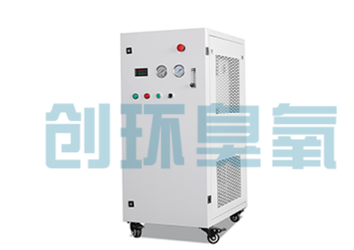 儋州石斑鱼养殖水质调控完整指南：臭氧发生器配置与操作步骤