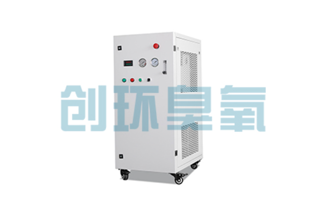 儋州比传统换水更高效？臭氧发生器在石斑鱼养殖中的水质净化原理解析