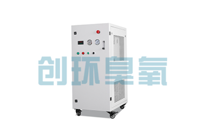 儋州比传统换水更高效？臭氧发生器在石斑鱼养殖中的水质净化原理解析
